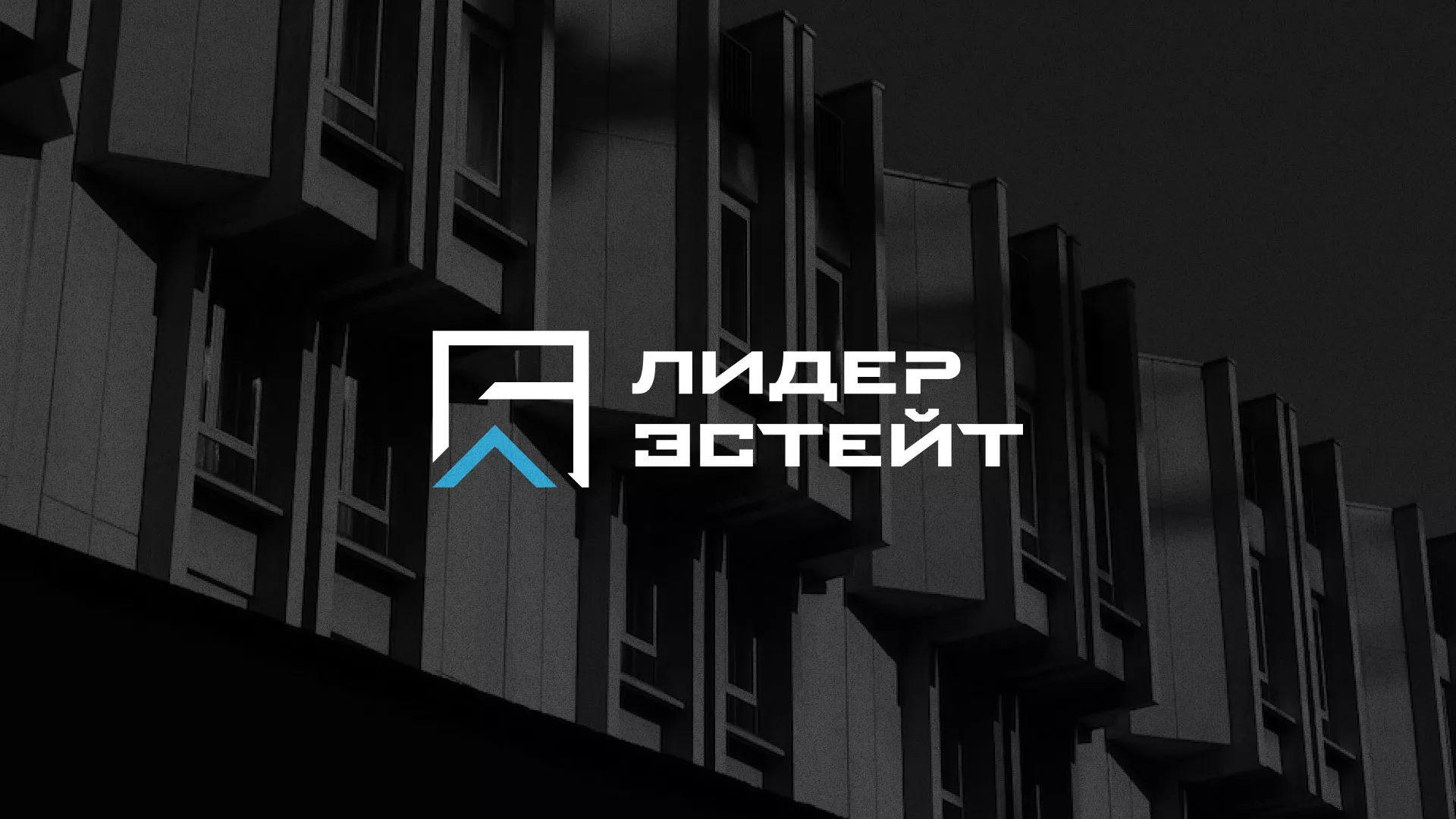 Разработка логотипа агентства недвижимости «Лидер Эстейт» в Волхове